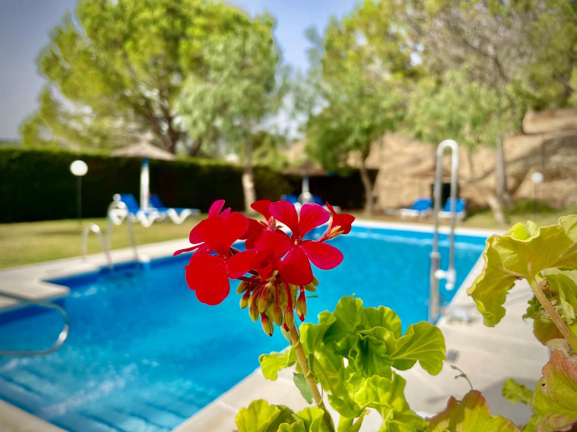 Hotel Tugasa Villa De Algar Algar  Extérieur photo